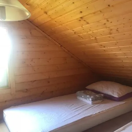 Domki Miedzyzdroje *